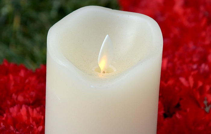 TEAS remembers Black January martyrs